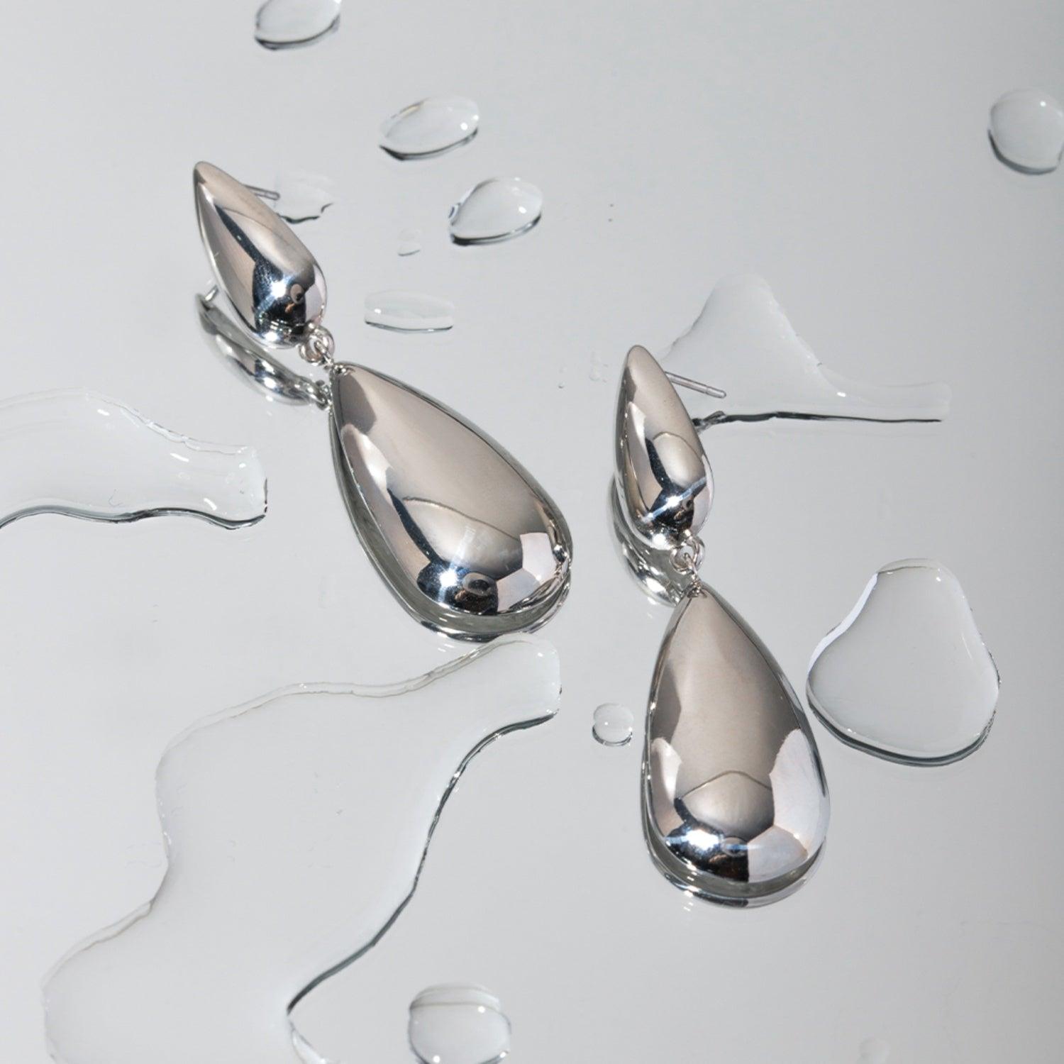 Stainless Steel Dangle Earrings Carauana Store