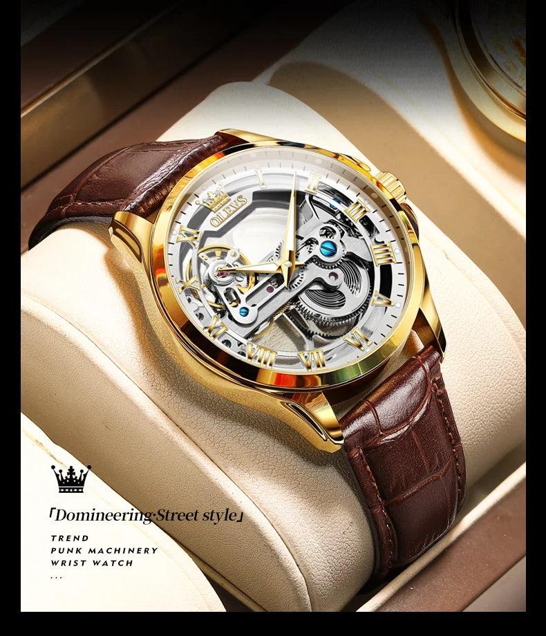 OLEVS Men's Automatic Mechanical Waterproof Luxury Wristwatch with Luminous Leather Strap - Gift Box Included Carauana Store