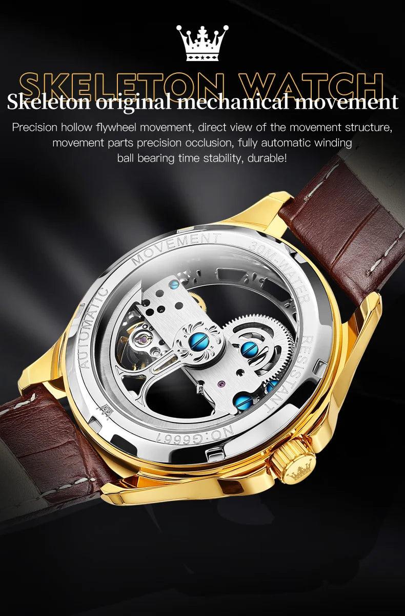 OLEVS Men's Automatic Mechanical Waterproof Luxury Wristwatch with Luminous Leather Strap - Gift Box Included Carauana Store