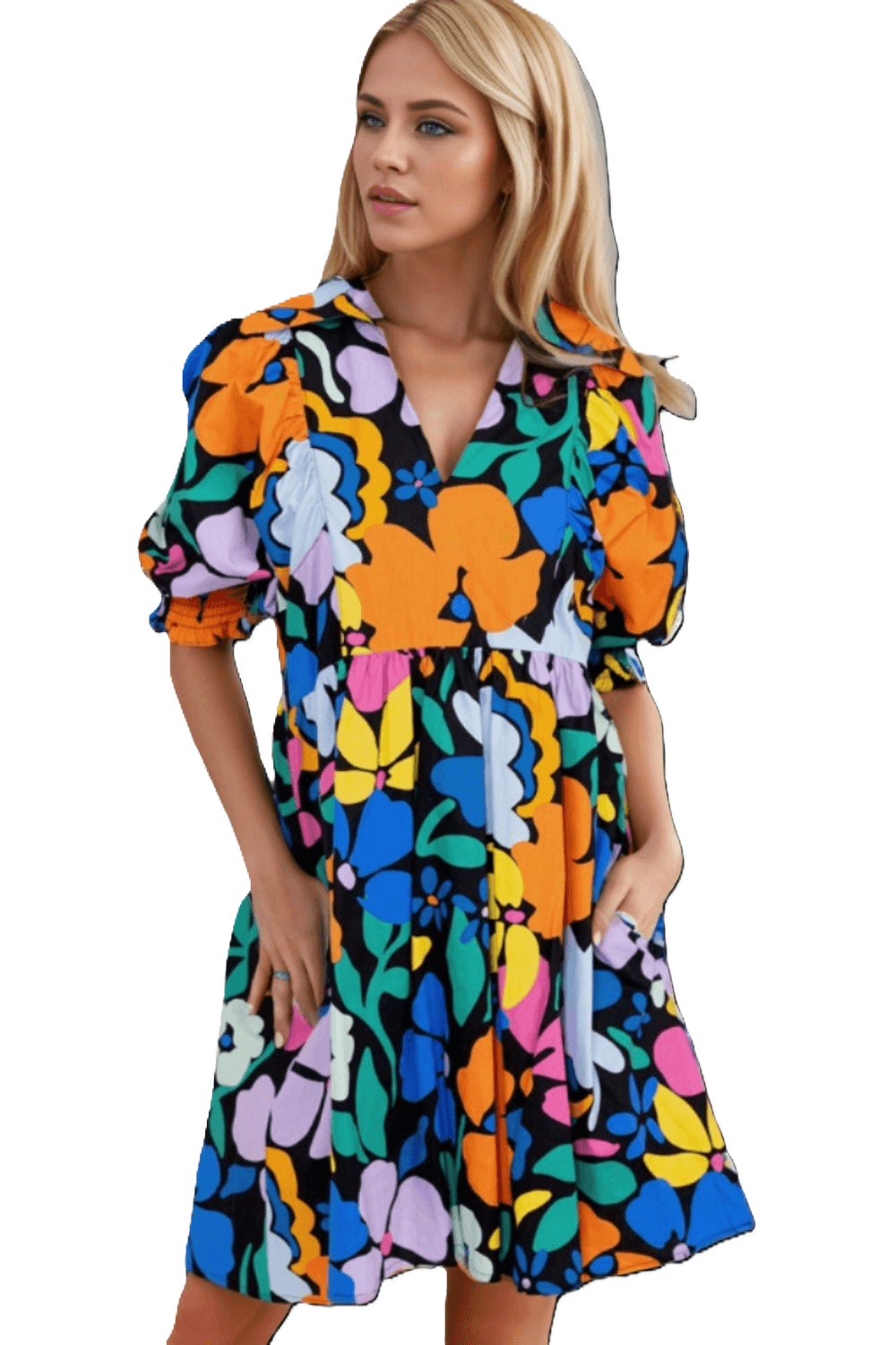 Printed Johnny Collar Half Sleeve Mini Dress